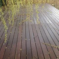 mobilier-gradina